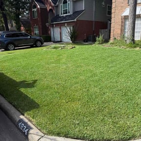 yard care by Herrera and Sons Lawn Care reviewed on August 20, 2025