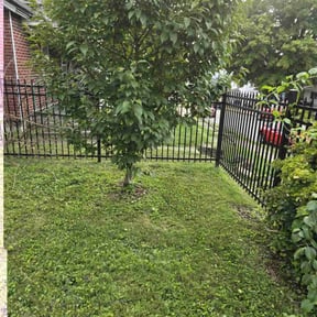 lawn care by Armstrong&#039;s Lawn Care Plus reviewed on May 30, 2024