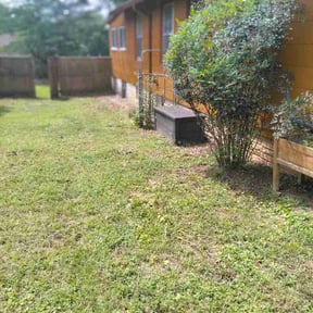 Bush Trimming by P&amp;D Landscaping reviewed on July 26, 2026