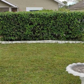 Bush Trimming by Myles And Son’s reviewed on August 16, 2025