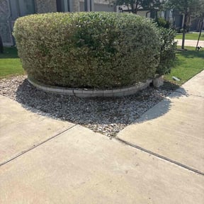 Flower Bed Weeding by Manny Soriano reviewed on October 21, 2025