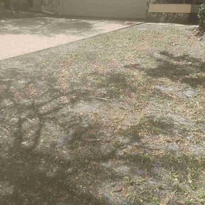 Leaf Removal by Zia Power Lawn Care LLC. reviewed on July 31, 2026