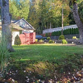 Leaf Removal by God's blessing on the company reviewed on October 18, 2025