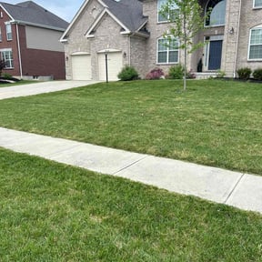 gardening service by Mr. Mower reviewed on August 18, 2025