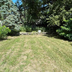 Bush Trimming by A+ Student Lawn Care reviewed on August 18, 2025