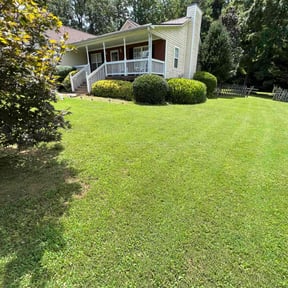 Bush Trimming by Valencia Landscaping reviewed on August 17, 2025