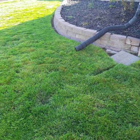 Leaf Removal by Beach cuts reviewed on September 29, 2025