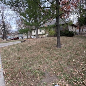 Leaf Removal by Handy Lawn reviewed on November 22, 2025