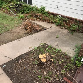 Bush Trimming by M&J Family Lawn and Hauling Service reviewed on August 16, 2025