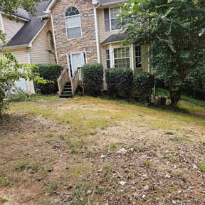 Bush Trimming by Sharp Image LandCare reviewed on January 1, 2026