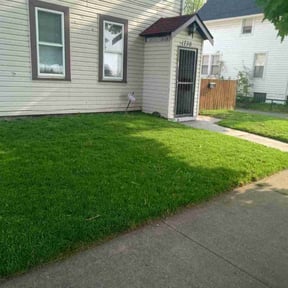 turf care by TH lawncare reviewed on August 19, 2025