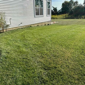 yard work by DTE Maintenance Llc reviewed on November 27, 2025