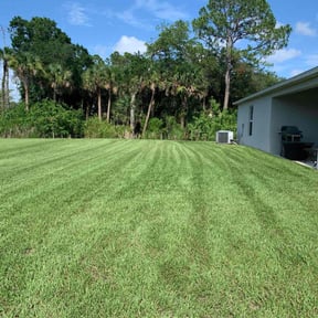 gardening service by Wellington Interiors and Exteriors LLC reviewed on December 31, 2025