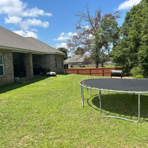 grass maintenance by Elite Landscaping reviewed on October 4, 2023