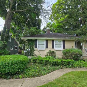 Bush Trimming by Maximum Lawn Care reviewed on June 30, 2026