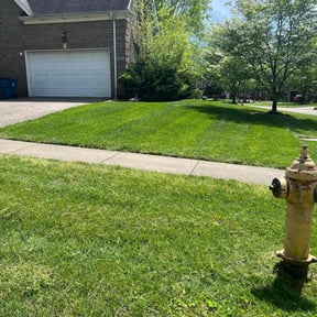 grass cutting by Felo Pride lawn services reviewed on April 3, 2024