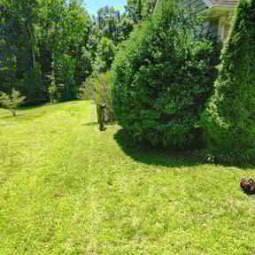 Bush Trimming by FRL Landscaping reviewed on December 1, 2025