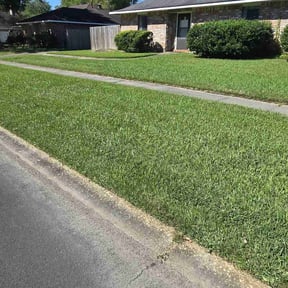 turf maintenance by Jays lawn care reviewed on March 23, 2024