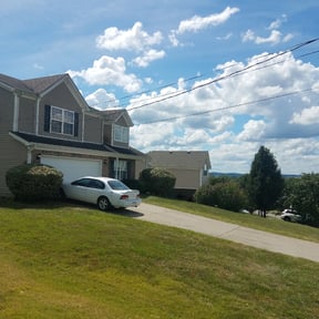 Bush Trimming by Clean Green Lawn Care reviewed on August 17, 2025