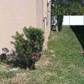 Bush Trimming by Pennywise Lawn and Landscape reviewed on August 19, 2025