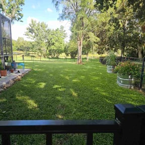 yard service by Ramon Santiago lawncare reviewed on August 21, 2025