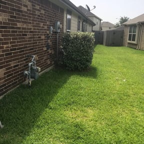 Bush Trimming by Barnard's Lawn Service llc reviewed on August 19, 2025