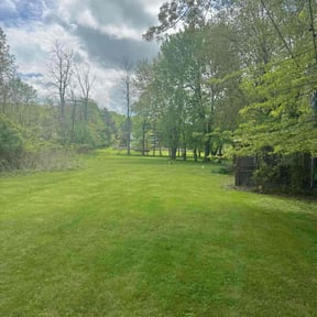 lawn maintenance by C Holzinger Construction reviewed on August 16, 2025