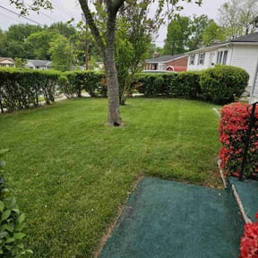 gardening service by chameleon lawn care reviewed on August 20, 2025