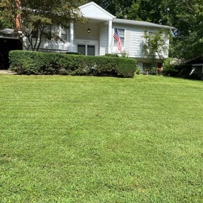 Bush Trimming by National preservation and REO services reviewed on August 16, 2025