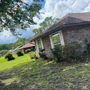 Bush Trimming by Pepperseed Professional Outdoor Services reviewed on October 21, 2025