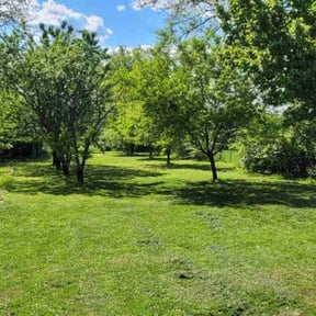 residential landscaping by Full throttle lawn care reviewed on August 19, 2025