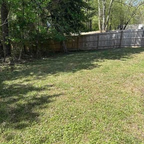 Leaf Removal by Growth and Development lawn service small engine repairs-mobile tech reviewed on August 22, 2026