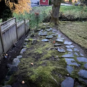 Leaf Removal by B&amp;SS reviewed on November 22, 2025