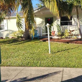grass cutting by Homegrown N Cut reviewed on March 1, 2025