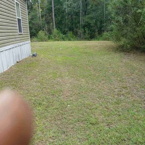 Bush Trimming by Hugo Lopez Landscaping reviewed on October 18, 2025