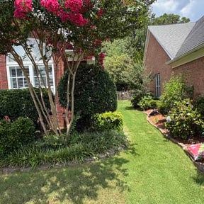 Bush Trimming by Dustins lawn care reviewed on July 6, 2026