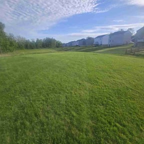 residential landscaping by All works llc reviewed on August 21, 2025