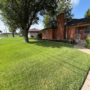 yard service by Branderson Lawn Service reviewed on December 24, 2025