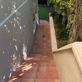 Leaf Removal by Shaun Weaver reviewed on September 13, 2025