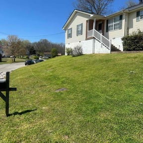 grass maintenance by MowBros reviewed on May 26, 2025