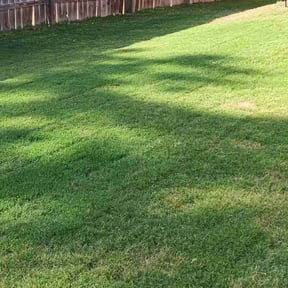 yard maintenance by Lawn Masters, Charlotte, LLC reviewed on August 18, 2025