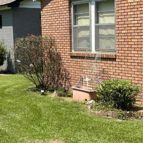 Bush Trimming by Wiggins Lawn Care and Towing reviewed on October 19, 2025