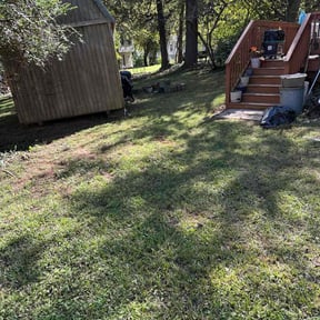 Leaf Removal by Murillo Services reviewed on November 9, 2025