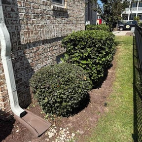 Bush Trimming by M&amp;M LAWN SERVICES reviewed on October 23, 2025