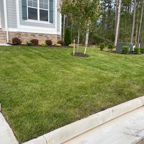residential landscaping by Taurus enterprise and construction LLC  reviewed on April 24, 2024