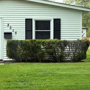 Bush Trimming by Lawn Men at Work reviewed on May 1, 2026