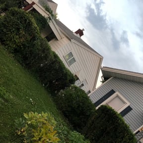 Bush Trimming by LOCAL Landscaping & Lawn Maintenance reviewed on August 16, 2025