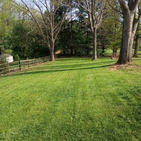 yard care by Haymes Grass Grooming reviewed on August 21, 2025