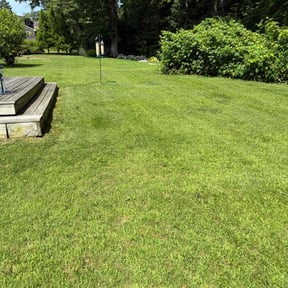 yard maintenance by Dockstader Landscaping reviewed on August 14, 2025