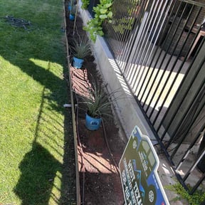 Flower Bed Weeding by Nitram's Lawn Care reviewed on November 8, 2025